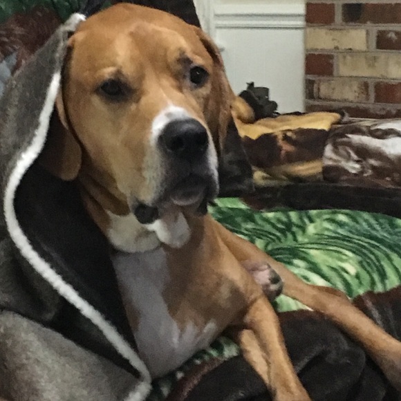 Meet your Posher, Andria - Picture 3 of 3